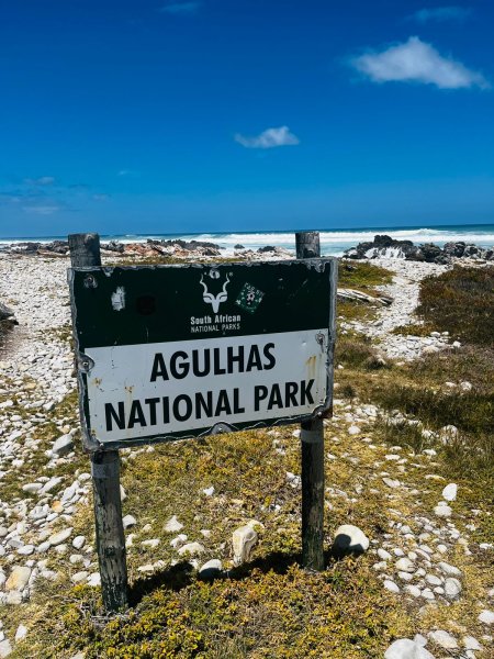 cape aghulas board