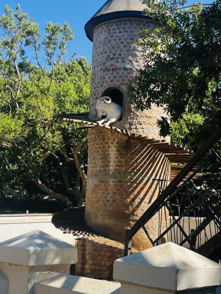 •	aquila-wildlife-safari-wine-tasting.jpg