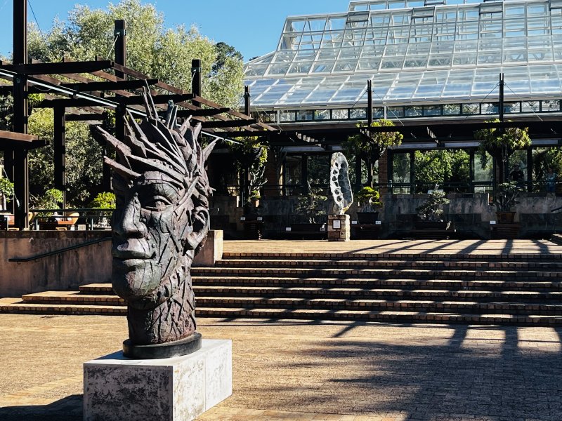 Kirstenbosch botanical garden 