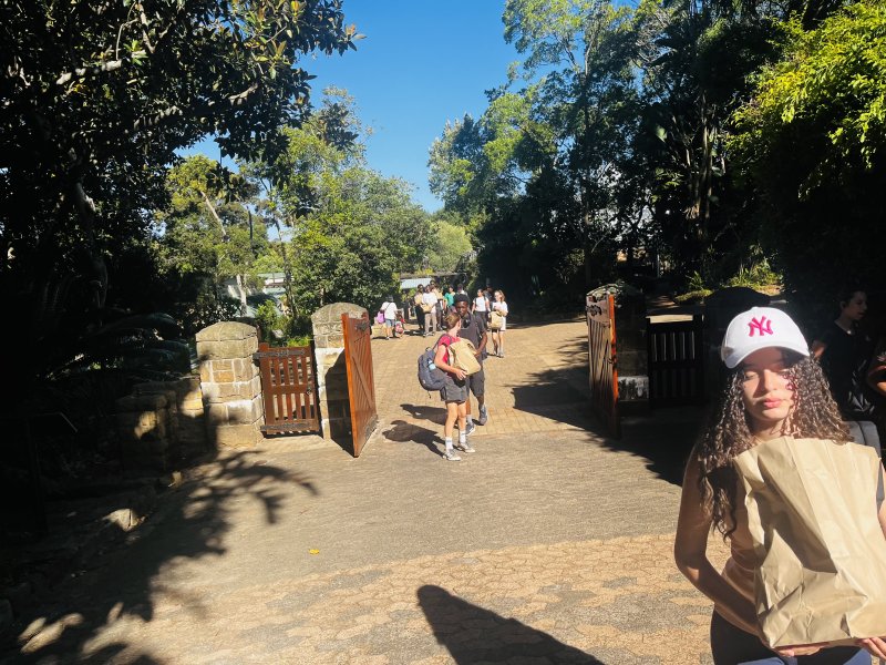 Picnic at Kirstenbosch botanical garden 